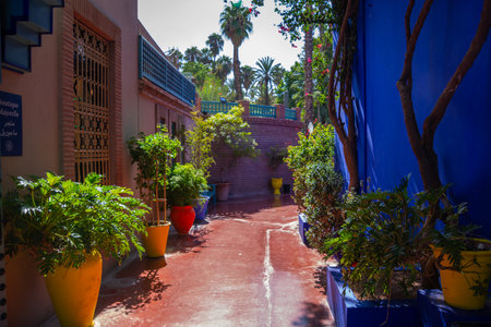 Majorelle garden, superb place in the heart of the city of Marrakech in Moroccoの写真素材