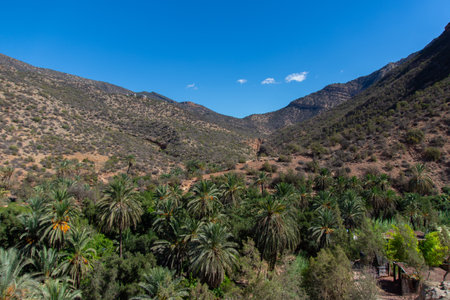 Travel in the paradise Valley, north of Agadir, Moroccoの写真素材