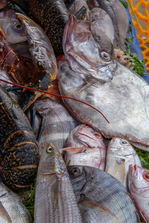 Fresh fish on the fishing port of Essaouira in Moroccoの写真素材