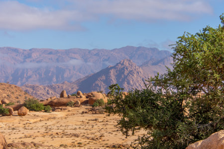 Canyon in a Moroccan plain between the towns of Zagora and Tataの写真素材
