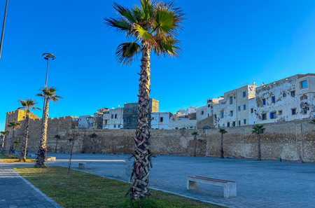 Ancient fortress in the old town of Safi in Moroccoの写真素材