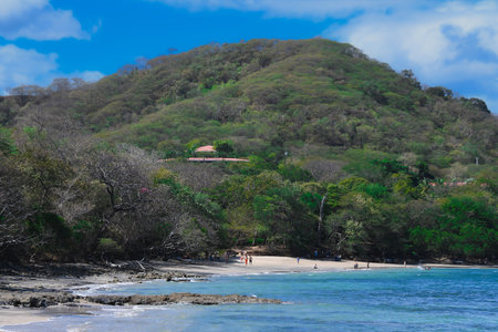 Landscape of the coast