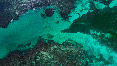 Aerial view of the sea near Bavaro Beach in the Dominican Republicの写真素材