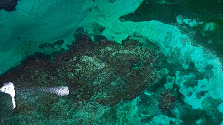 Aerial view of the sea near Bavaro Beach in the Dominican Republicの写真素材
