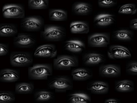A few dozen eyes, each looking at you in their own way.の写真素材