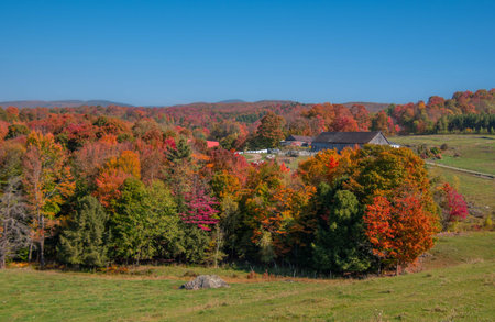 View of autumn colors in the Canadian countryside in the province of Quebecの写真素材
