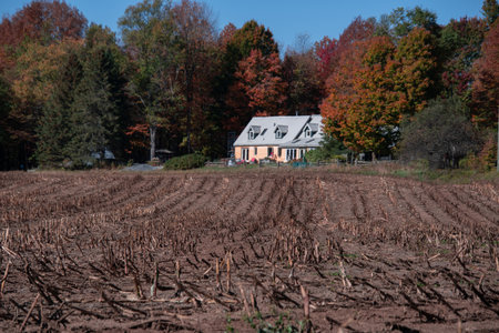 View of fall colors on a farm in the Canadian countryside in the province of Quebecの写真素材