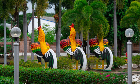 Famous roosters of Wat Yai Chai Mongkhon, a temple in Ayutthaya, Thailandの写真素材