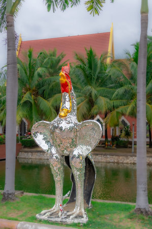 Famous roosters of Wat Yai Chai Mongkhon, a temple in Ayutthaya, Thailandの写真素材