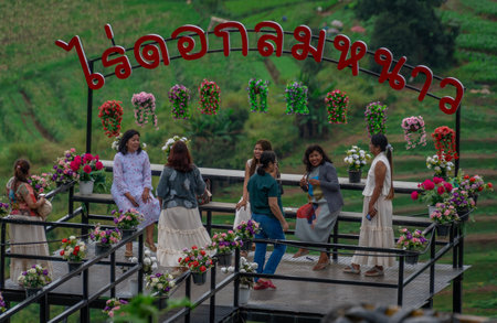 Group of people on a viewpoint in the Thai mountainsのeditorial素材