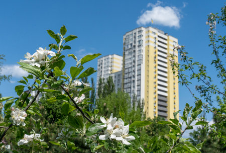 A high-rise building in the city and a flowering tree in front of it, the concept of a green cityの写真素材