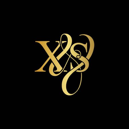X & S X S logo initial vector mark. Initial letter X & S X S luxury art vector mark logo, rose gold, silver, gold color on black background.のイラスト素材