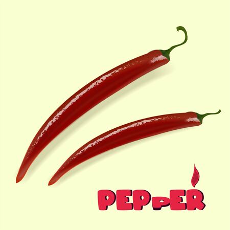 Red hot natural pepper pod, image in the free style of the author, for culinary products and recipes, vector illustrationのイラスト素材
