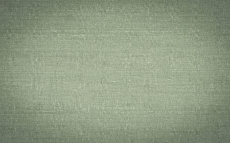 background fabric texture made from the cover of an old book. natural.の写真素材