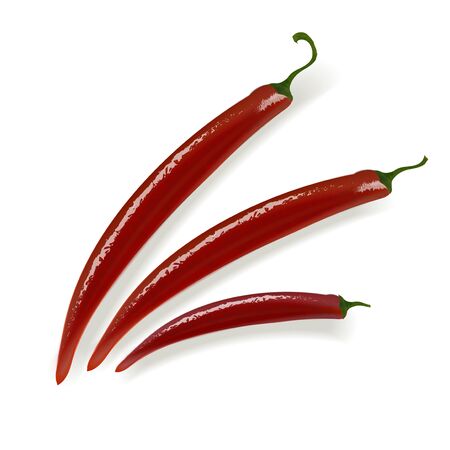 Red hot natural pepper pod, image in the free style of the author, for culinary products and recipes.のイラスト素材