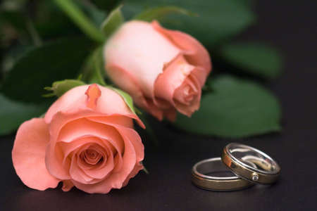 Two pink roses and a pair of wedding ringsの写真素材
