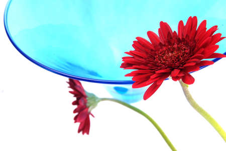 Blue celebration glass with flowers on white backroundの写真素材