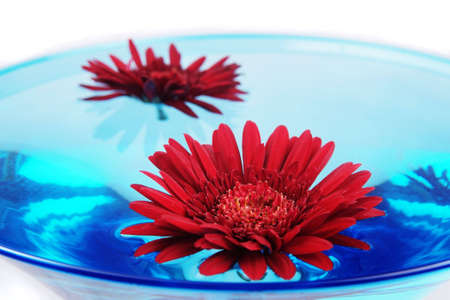 Red flowers floating on water in celebration glassの写真素材
