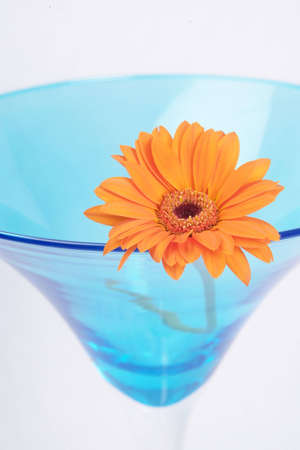 Flower resting inside beautiful glassの写真素材