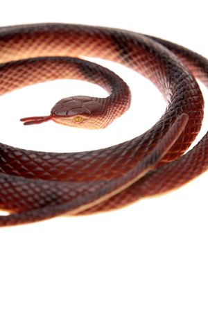 Plastic snake coiled over white backgroundの写真素材