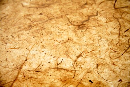 Brown backgroundの写真素材