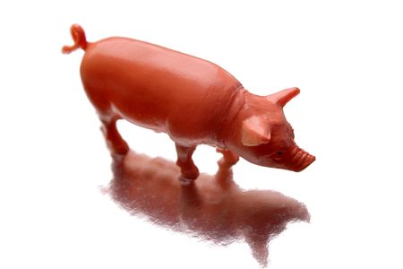 Pig over white backgroundの写真素材