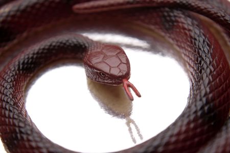 Plastic snake coiled over white backgroundの写真素材