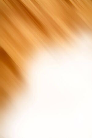 Brown abstract blur on white background. Copy space.の写真素材