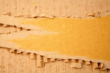Torn cardboard on plain background  の写真素材