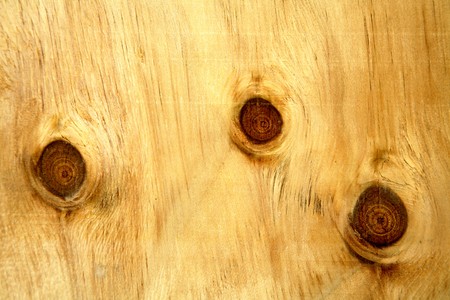 Close-up of knots in timber panel.