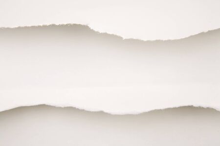Ripped white paper. Copy spaceの写真素材