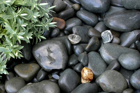 Closeup of stones in gardenの写真素材