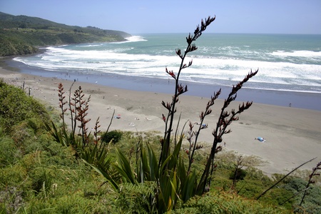 Raglan, New Zealand.の写真素材 [40008592971] - イメージマート