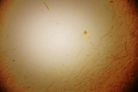 Brown tone grungy abstract backgroundの写真素材