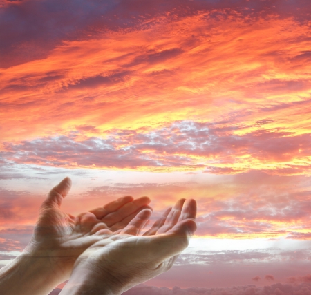 Hands reaching for the sky Hands reaching for the sky