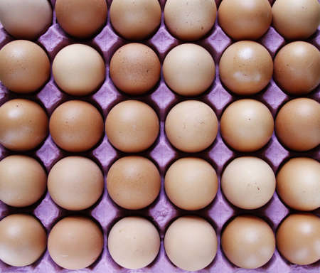 Closeup of eggs in tray