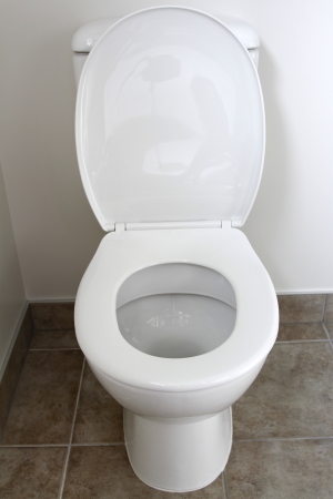 Closeup of toilet, lid open の写真素材