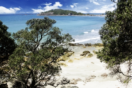 New Zealand coastline, North Islandの写真素材