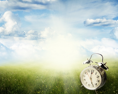 Alarm clock in sunlit spring field Alarm clock in sunlit spring field