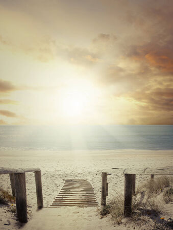 Walkway leading to beach sceneの写真素材