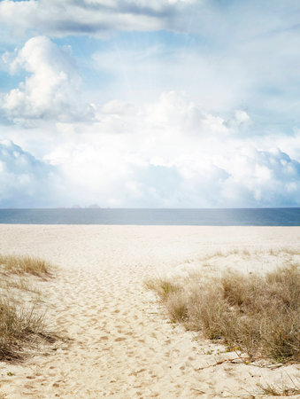 Trail leading through sand to beach の写真素材