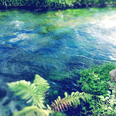 Pure clean spring water streamの写真素材