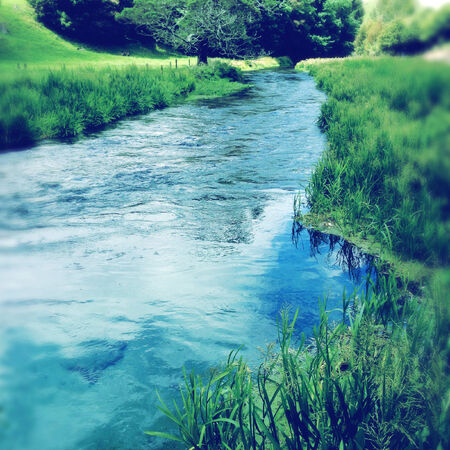 Pure clean spring water streamの写真素材