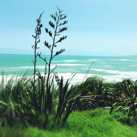 Shoreline and water, Raglan, New Zealandの写真素材