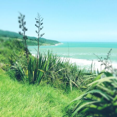 Shoreline and water, Raglan, New Zealandの写真素材