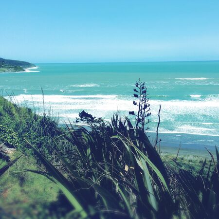 Shoreline and water, Raglan, New Zealand