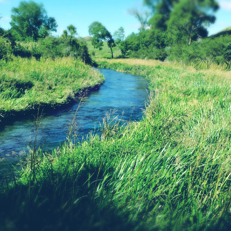 Pure clean spring water streamの写真素材