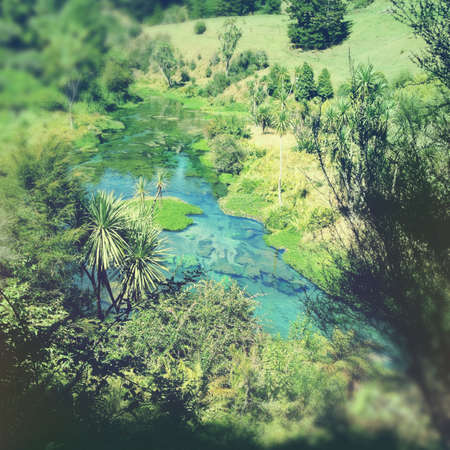 Pure clean spring water streamの写真素材
