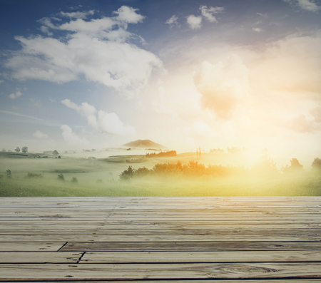 Sunny meadow of grass in landscapeの写真素材