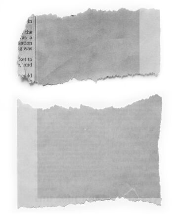 Pieces of torn paper on plain background